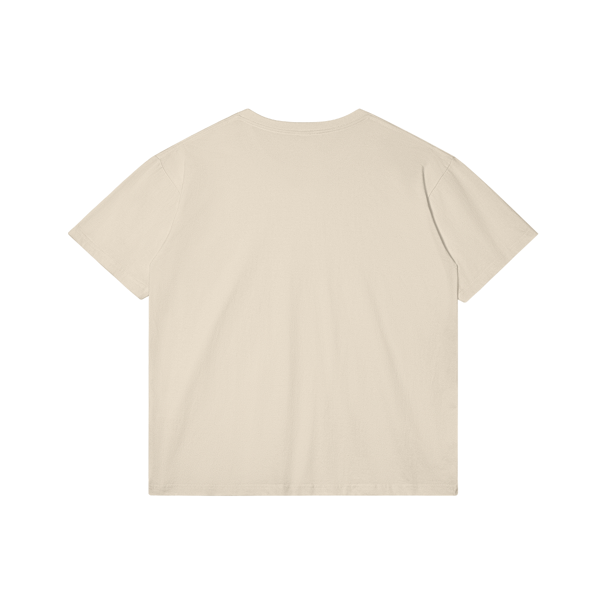 0-Y87-Back Side